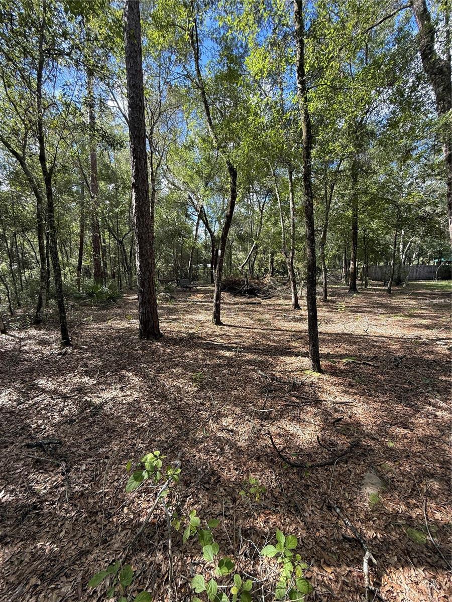 FOREST LAKES PARK - Residential