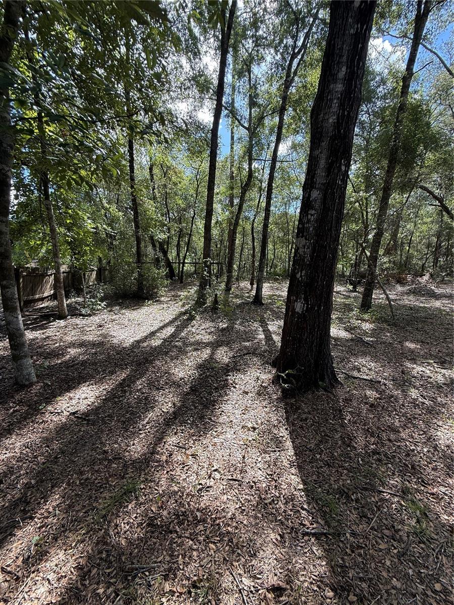 FOREST LAKES PARK - Residential