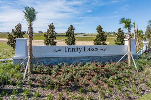 Tiny photo for 7048 Rolling Leaf Road, Groveland, FL 34736 (MLS # O6368617)