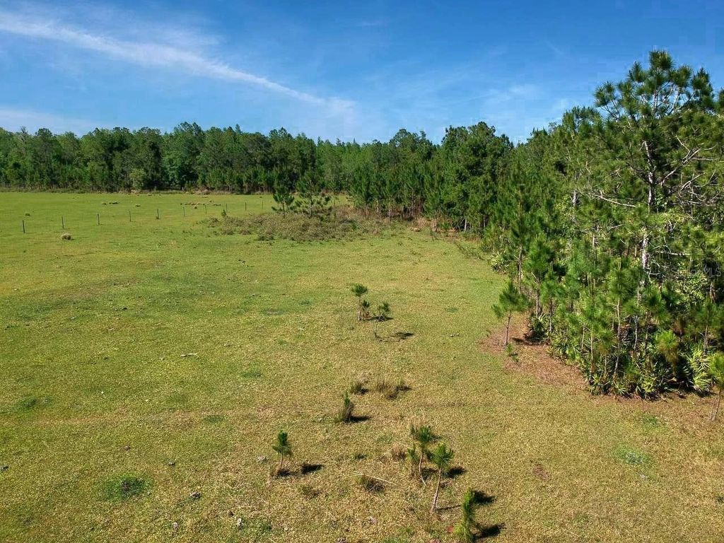 Photo of Deen Still Rd E Road E #Lot B-178, Polk City, FL 33868 (MLS # OM718113)