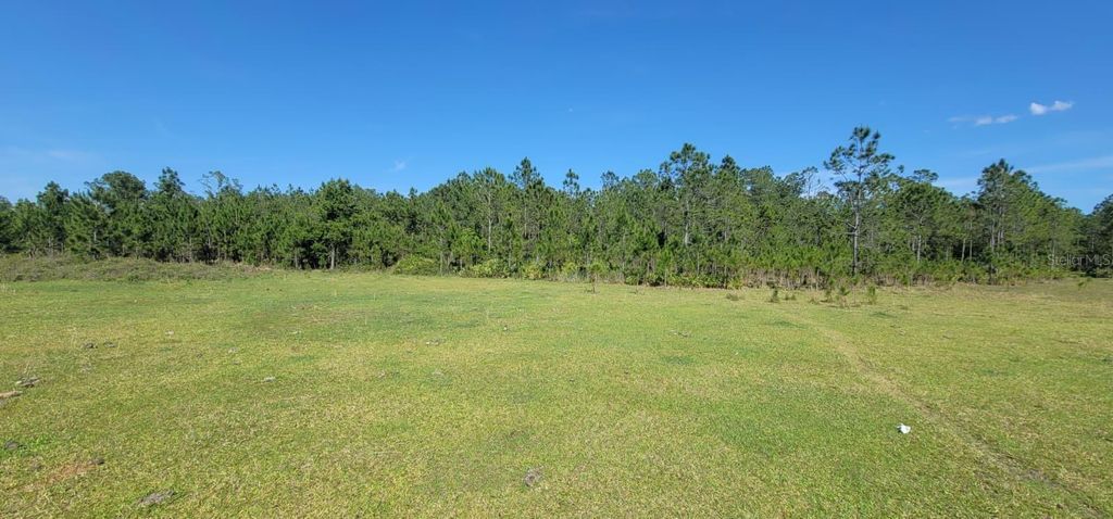 Photo of Deen Still Rd E Road E #Lot B-178, Polk City, FL 33868 (MLS # OM718113)