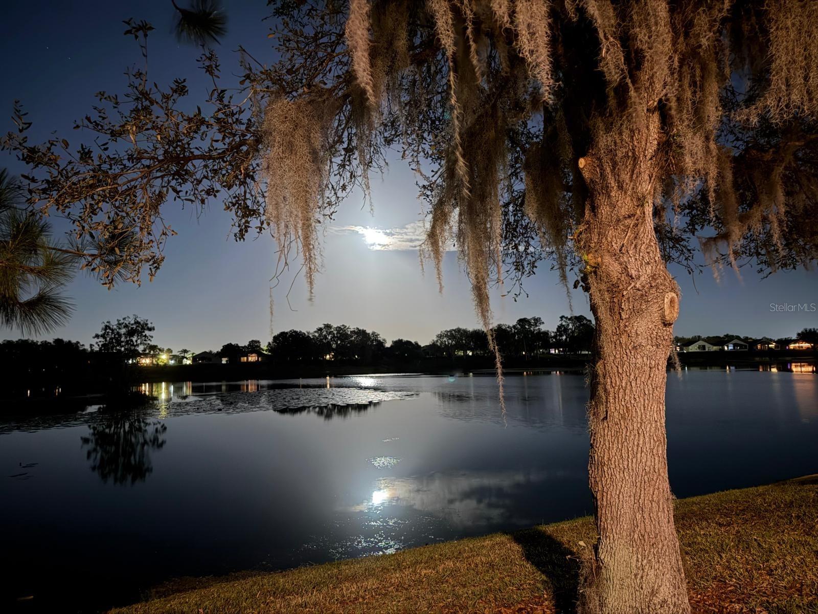 DEL WEBB ORLANDO PH 3 - Residential