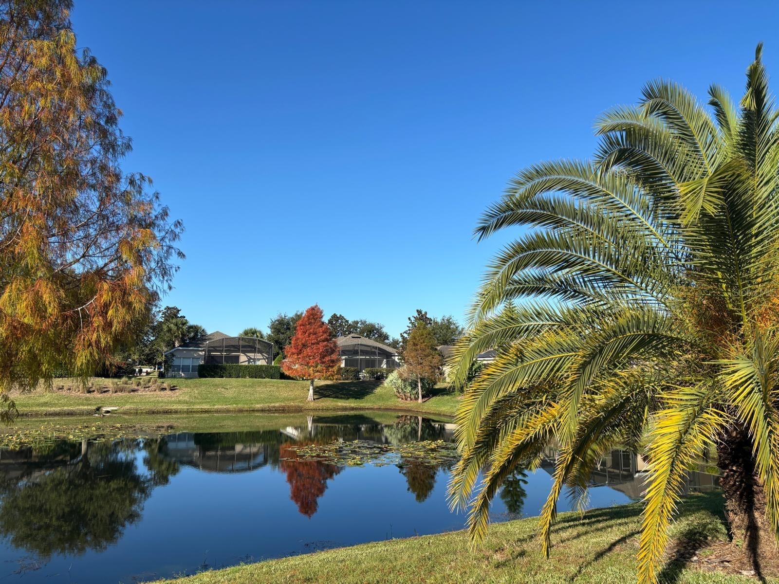 DEL WEBB ORLANDO PH 3 - Residential