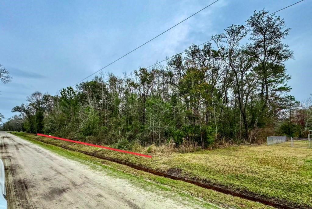 Photo of 10230 Weatherby Avenue, Hastings, FL 32145 (MLS # FC320692)