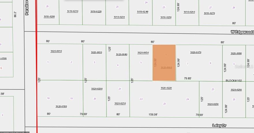 Ready to do some floating or fishing?  Bring your boat and access Lake George from the deeded access this lot offers. The lot is ready to clear for site built or manufactured home. Near paved road for easy access and short drive to community recreational area which has RV hookups, picnic pavilion, fire pit, long walking pier with covered end for pier fishing and boat ramp to enjoy Florida's 2nd largest lake.