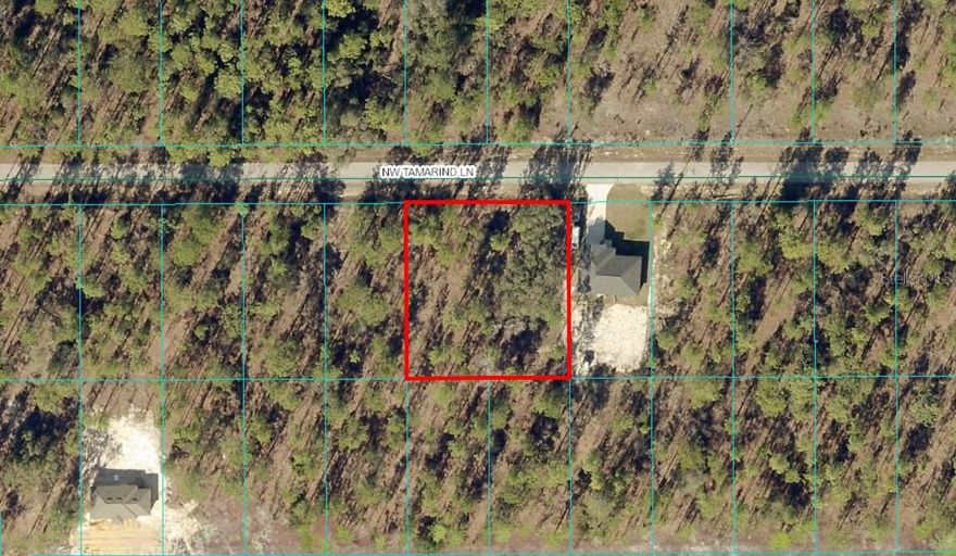 1814-015-013 NW Tamarind Lane DOUBLE LOT (lot 13 and 14 could possibly be subdivided again). This square .48 acre lot is on a paved road in Rainbow Lakes Estates. Zoned R1 - Site-built homes only. Minutes to beautiful Rainbow Springs State Park and the Rainbow River. A quick commute to downtown Dunnellon for shopping, banking, and restaurants and only about 20 minutes to the World Equestrian Center in Ocala. NOT in a flood zone. Lots of new construction going on in this area. The community has its own library, community center, playground, basketball courts, tennis courts, 2 boat ramps, and fishing pier, NO HOA.