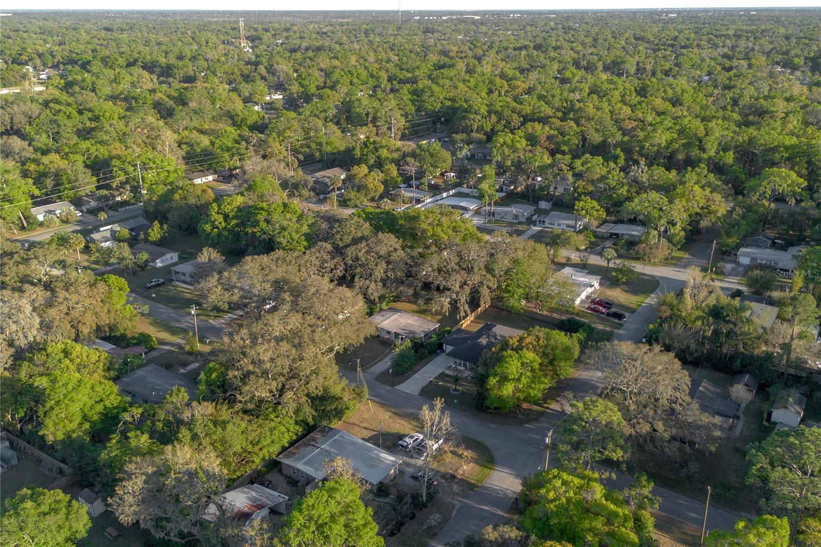 CAMELLIA PARK - Residential