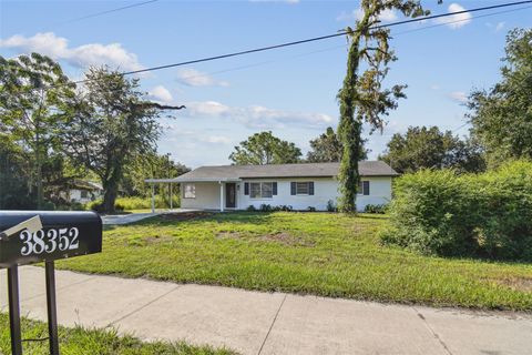 A home in DADE CITY