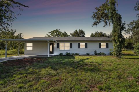 A home in DADE CITY