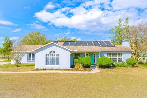 Photo of 36629 Frazee Hill Road, Dade City, FL 33523 (MLS # TB8480693)