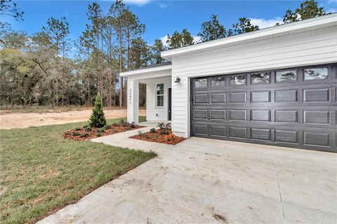 A home in DUNNELLON