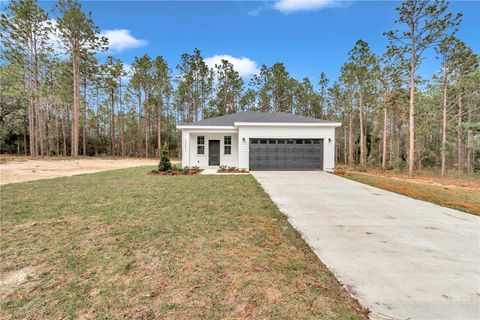 A home in DUNNELLON