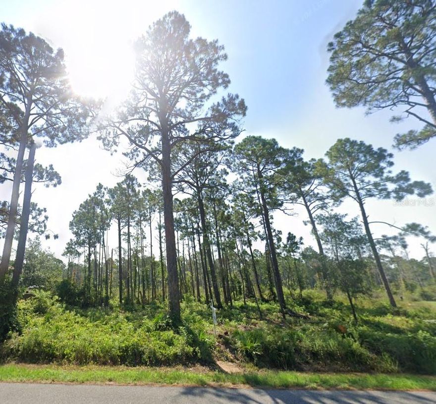 **Gorgeous Half Acre Vacant Lot** Spectacular Location in the Established and Sought After Treasure Bay Subdivision! This is the Perfect Homesite to Embrace the True Florida Coastal Lifestyle! Bring Your Own Builder! NO HOA Dues! Conveniently located between Port St. Joe, Cape San Blas, & Indian Pass for Endless Adventures and All The Best the Forgotten Coast has to Offer! Enjoy deeded Bay access for scalloping, kayaking & paddle boarding or visit one of the many area boat ramps for entry into the Gulf of Mexico. Nearby Salinas Park which features Water Access, Pickleball Courts & Fire Pit for More Family Fun. Fresh Seafood, Live Entertainment & Shopping are Just a Short Distance. Secure this Gem as Your Own Today!!