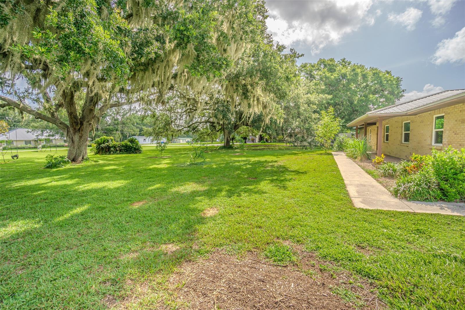 3505 MEDULLA ROAD