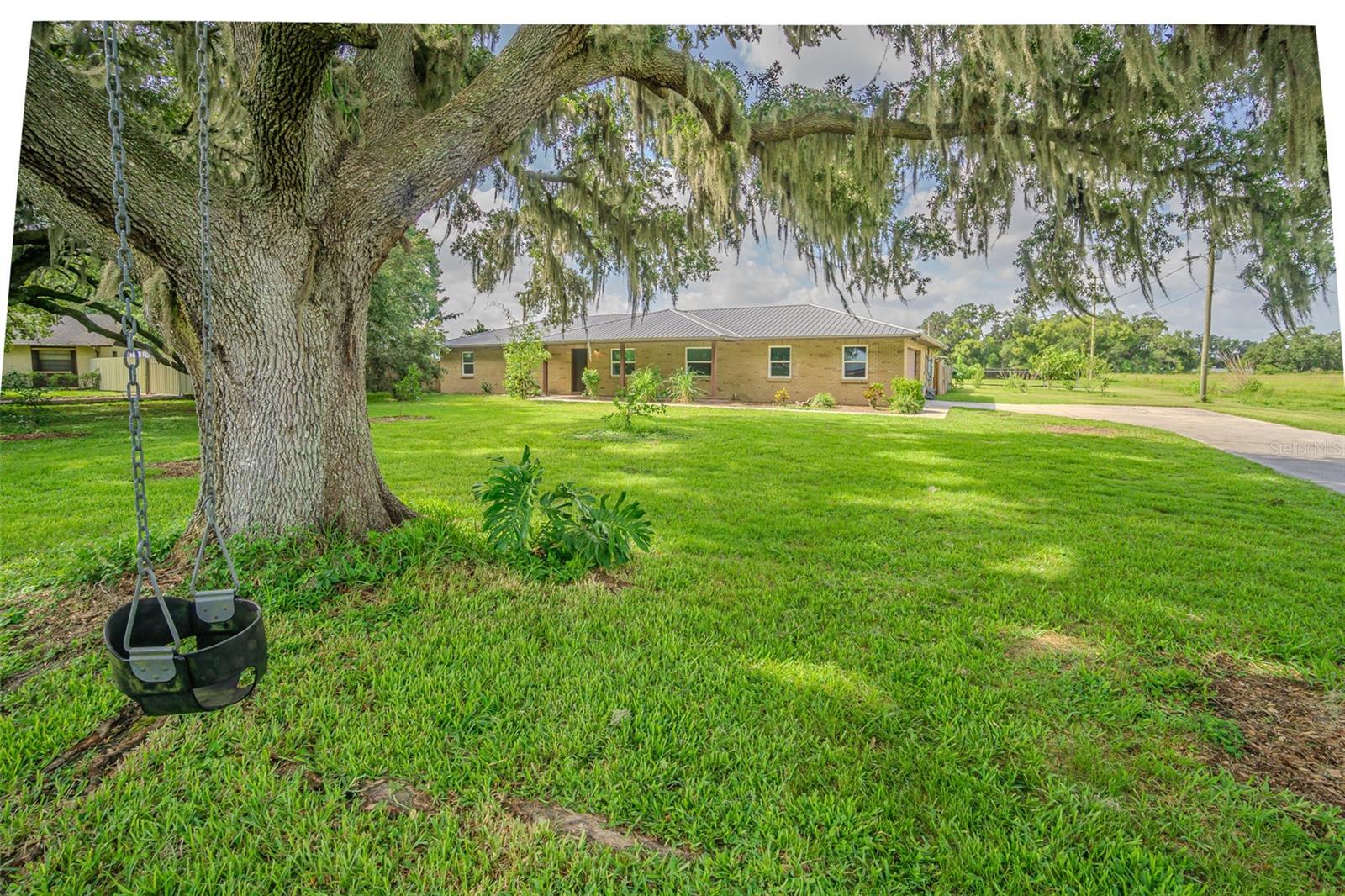 3505 MEDULLA ROAD