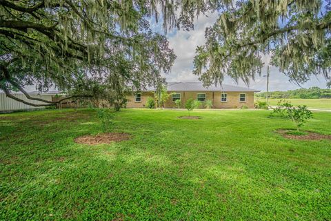3505 MEDULLA ROAD PLANT CITY FL 33566
