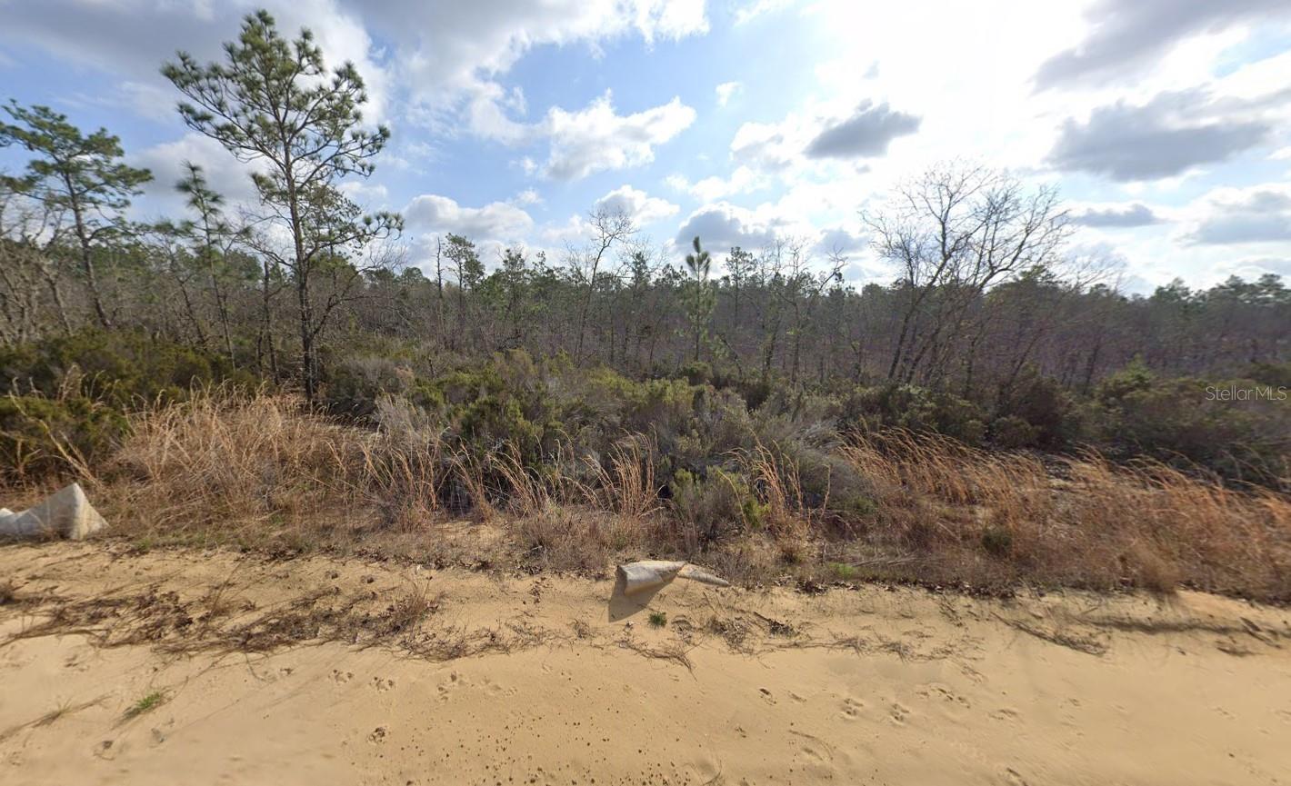 Owner Financing Considered! Great opportunity to own a 0.20-acre vacant lot in the peaceful Lake Lucy Estates subdivision of Interlachen. This parcel offers plenty of space to build your new home or place a mobile home, with a quiet setting surrounded by Florida’s natural beauty. Conveniently located near local lakes, outdoor recreation, and just a short drive to Palatka, Gainesville, and Ocala. Perfect for a weekend getaway, investment, or your forever home. Buyer to verify well, septic, and power availability. The seller owns multiple properties throughout Putnam County and is willing to sell as a package deal, offering additional investment or development opportunities.