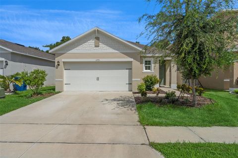 Photo of 1295 Berry Lane, Davenport, FL 33837 (MLS # O6343512)