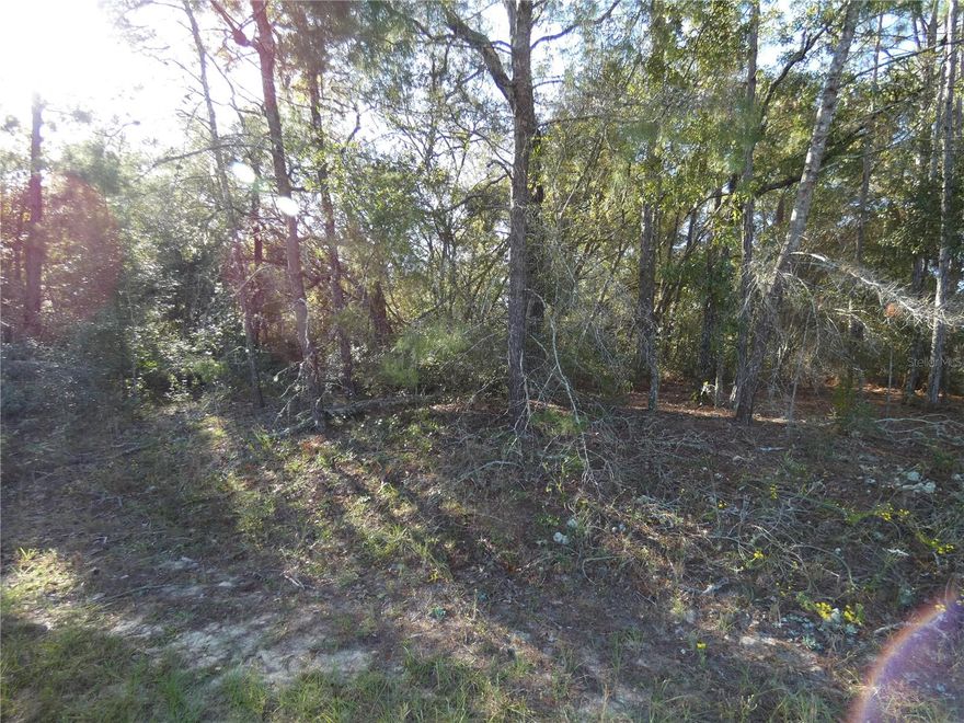 VERY NICE WOODED LOT WITH SOME LARGE OAK TREES. GREAT LOT TO BUILD YOUR DREAM HOME.