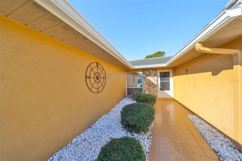 A home in SUN CITY CENTER