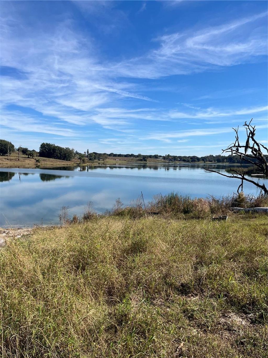 Photo of 0 Central Avenue, Bartow, FL 33830 (MLS # P4937264)