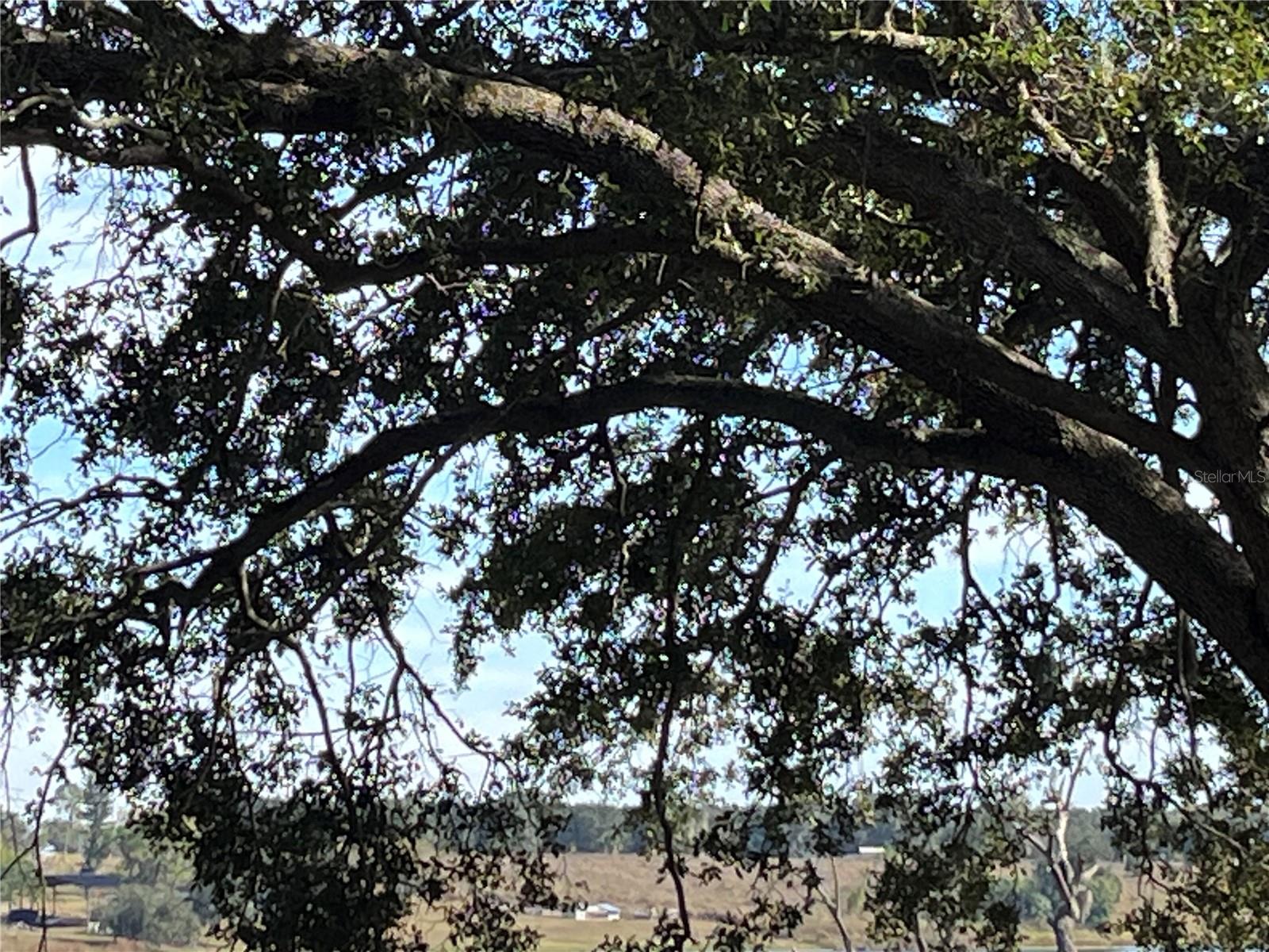 STAR LAKE HEIGHTS - Land