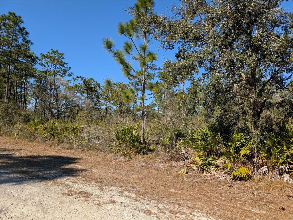 Photo of 612 Magnolia Drive, Indian Lake Estates, FL 33855 (MLS # P4937466)