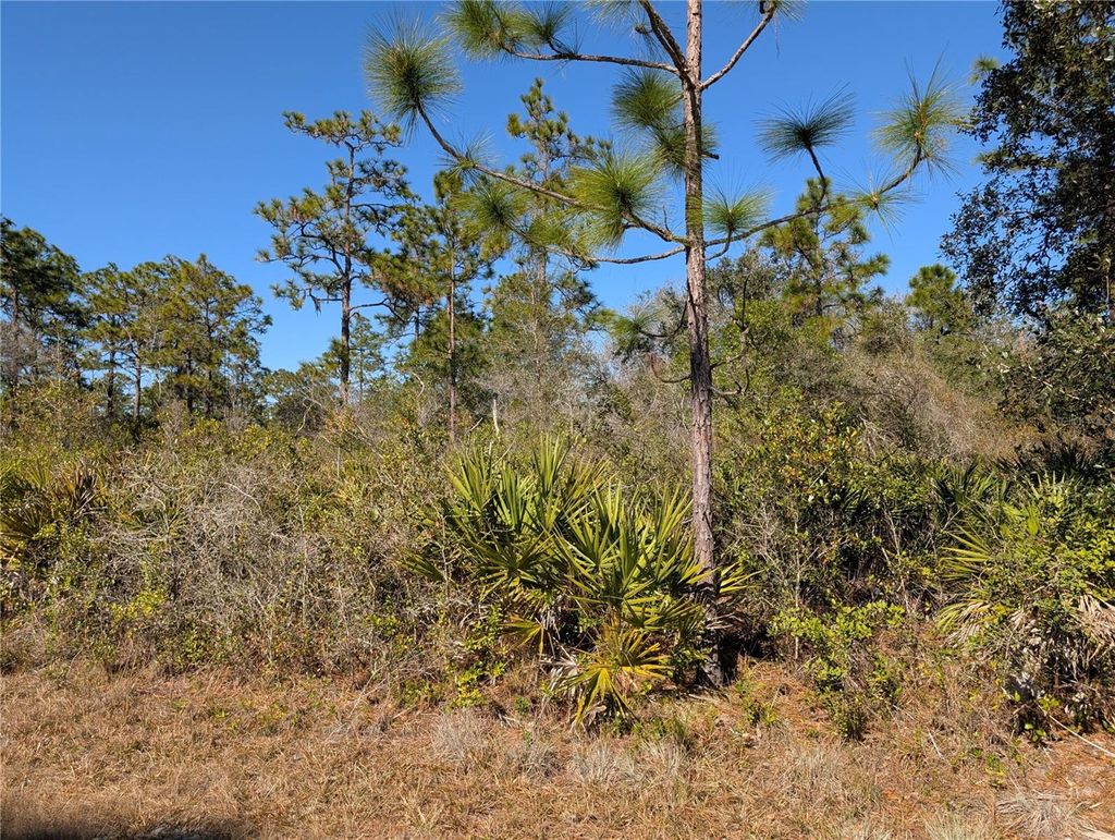 Photo of 612 Magnolia Drive, Indian Lake Estates, FL 33855 (MLS # P4937466)