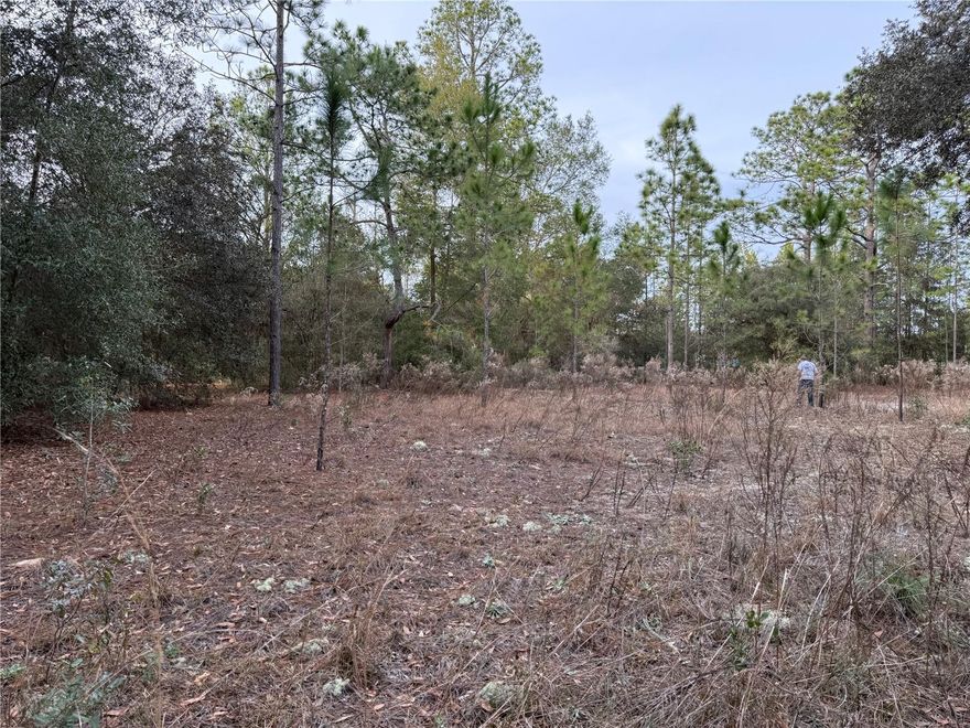 Prime .99-acre vacant lot in desirable Rainbow Lake Estates, Dunnellon, FL, on Audubon Avenue—ideal
canvas for your custom dream home. Nestled in a peaceful rural setting with easy access to Rainbow Springs
State Park, Withlacoochee River, and local amenities, this parcel offers R1 zoning, no HOA and utilities like
electricity and internet nearby