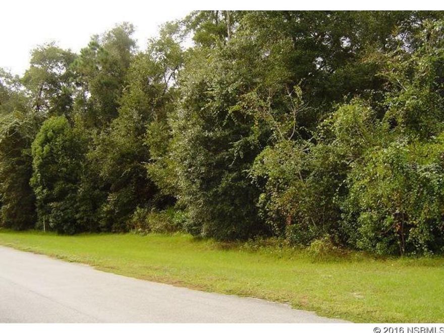 Build your dream home on this beautifully wooded, no flood zone 2.5-acre lot located in an area with a private, paved cul-de-sac road and custom built homes for neighbors! Just on the other side of Spring Garden Ave (15A) in DeLand and convenient to local everyday amenities. Drive by and see for yourself!; Cleared: No