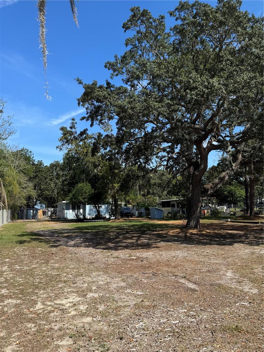 WEEKI WACHEE ACRES - Residential