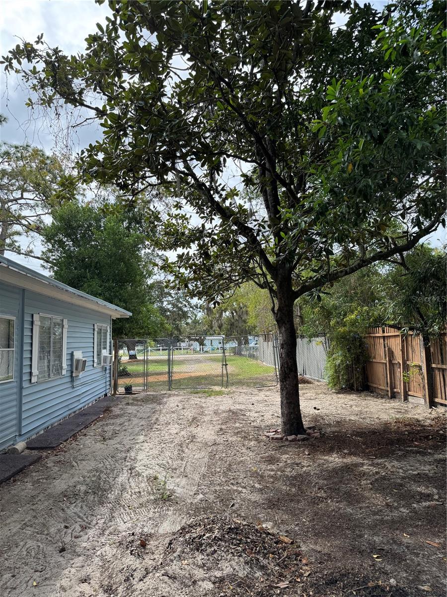 WEEKI WACHEE ACRES - Residential