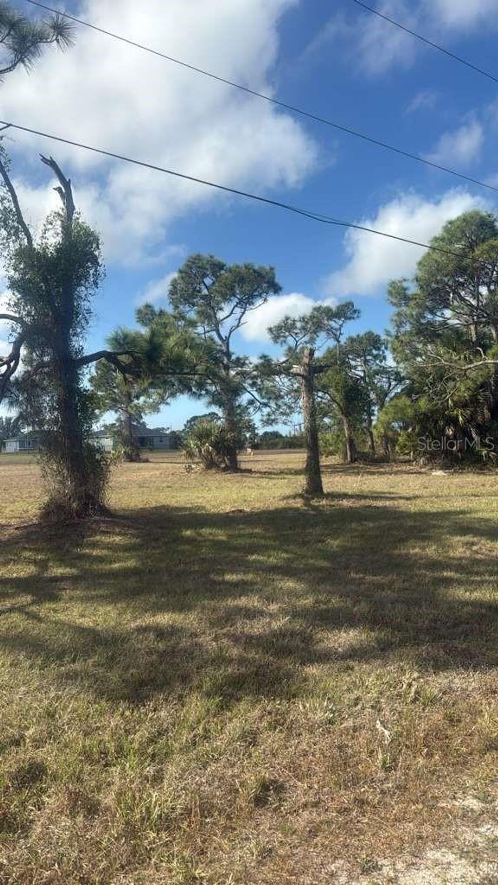 Photo of 19 Carline Lane, Placida, FL 33946 (MLS # O6391491)