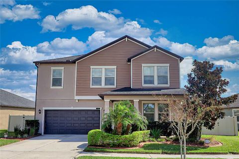 A home in LAND O LAKES