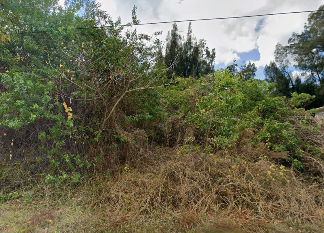 12439 GASPARILLA AVENUE, PUNTA GORDA, FL, 33955 3 12439 GASPARILLA AVENUE