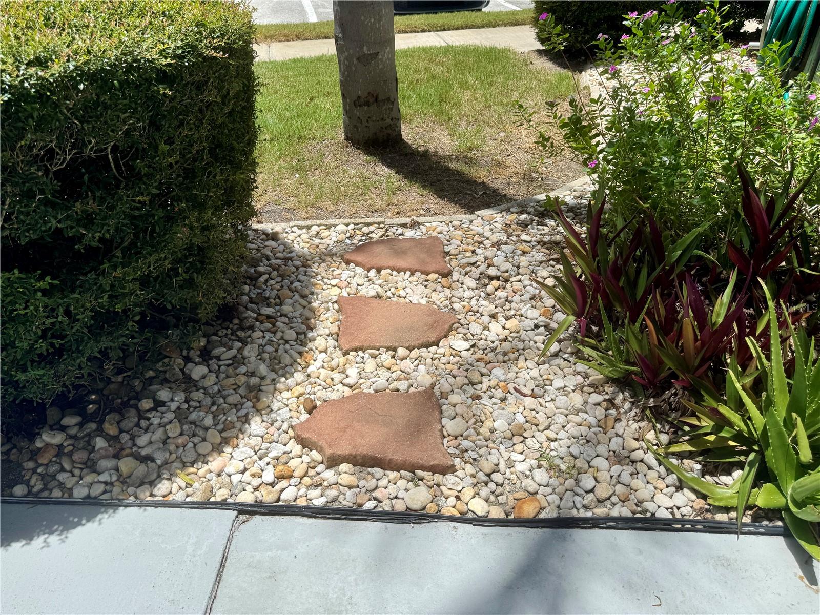 SEMINOLE GARDEN APTS CO-OP - Residential Lease