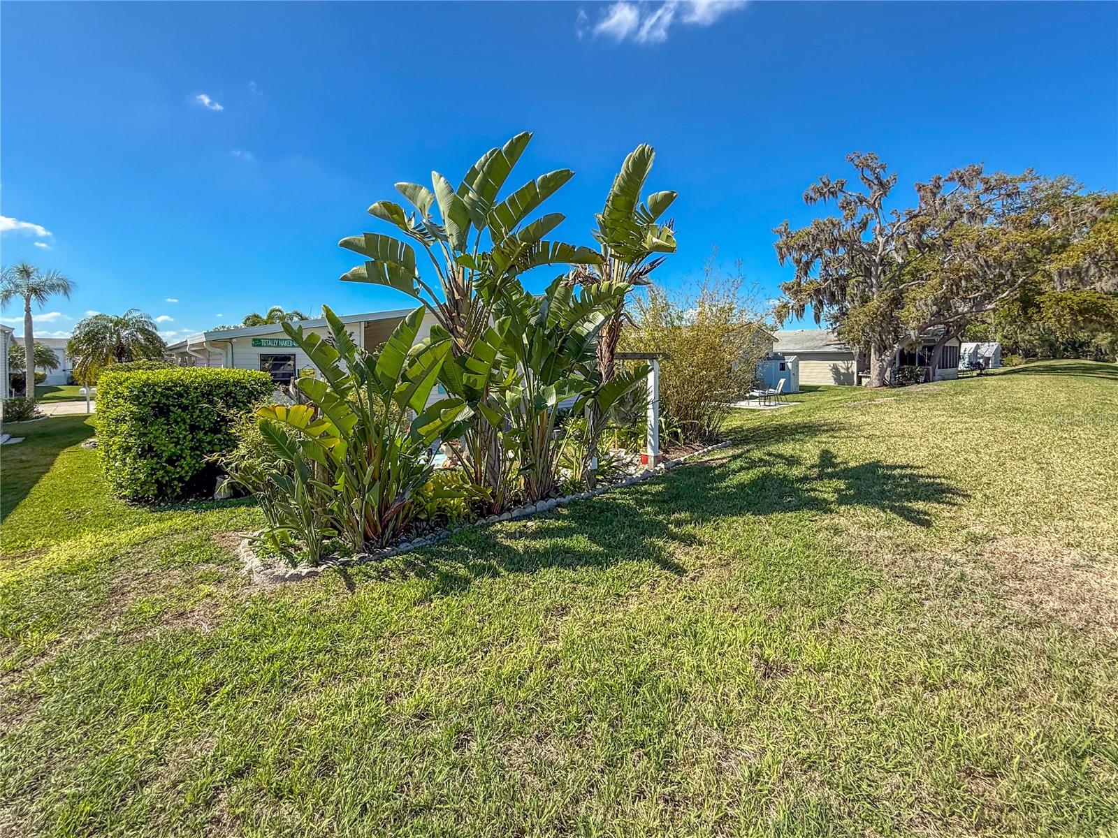 RIDGEWOOD OAKS PH IV - Residential