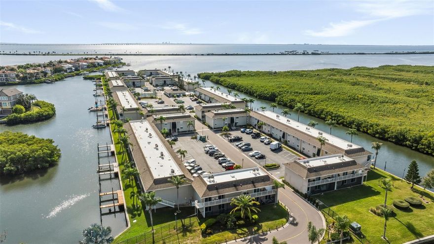 Wake up to sweeping waterfront views and daily dolphin sightings from this beautifully renovated second-floor, 2-bedroom, 1.5-bath condo in the heart of Tampa Bay. Thoughtfully redesigned from top to bottom, this move-in-ready home offers the perfect blend of coastal serenity and city convenience.
The interior showcases high-end finishes throughout, including a striking kitchen with quartz countertops, premium cabinetry, stainless steel appliances, and modern LED lighting. Luxury vinyl plank flooring and Carrera marble accents add style and durability, while hurricane-rated windows and sliding doors enhance comfort and peace of mind. Step onto the east-facing screened balcony to enjoy tranquil water views and gentle bay breezes.
Residents enjoy an active, waterfront lifestyle with access to a resort-style pool, tennis and basketball courts, kayak launch, fishing areas, and available boat slips. The condo includes assigned parking, and master flood insurance is included in the HOA dues.
Ideally located just minutes from Tampa International Airport, downtown Tampa, the Riverwalk, Straz Center, major sporting venues, dining, and Gulf beaches, this property is well-suited for full-time living, a seasonal retreat, or investment use. No minimum ownership period is required, and 8-12 month rentals are permitted, offering excellent flexibility.
Experience the best of Tampa Bay waterfront living—stylish, convenient, and ready to enjoy. Contact Theresa today!