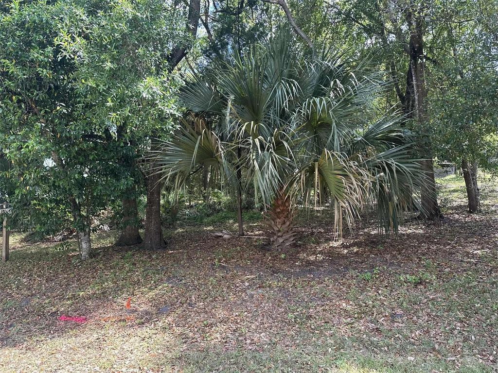 Photo of E Elm Drive, Orange City, FL 32763 (MLS # V4948744)