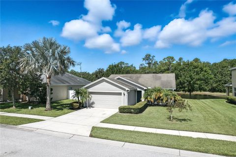 Photo of 6133 Evansbrook Drive, Zephyrhills, FL 33541 (MLS # TB8410915)