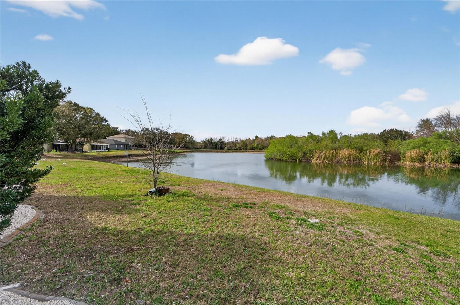 LAKE SHORE RANCH PH I - Residential
