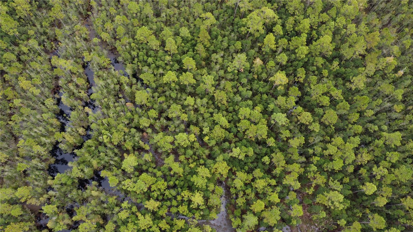 LUNGREN - Residential