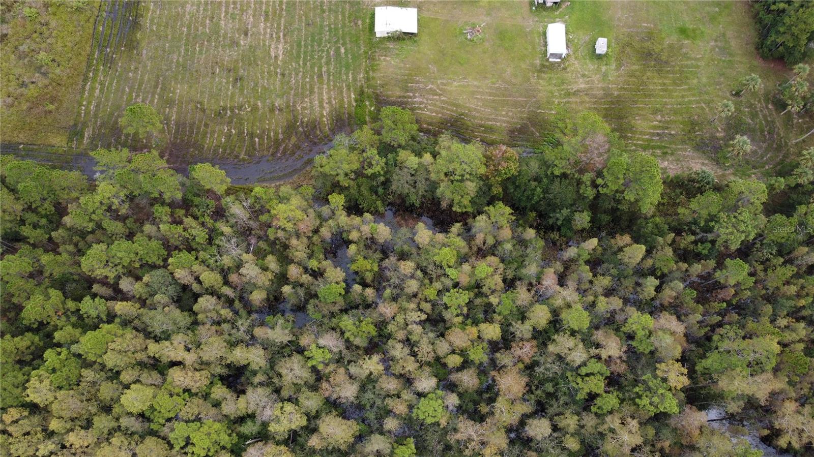 LUNGREN - Residential