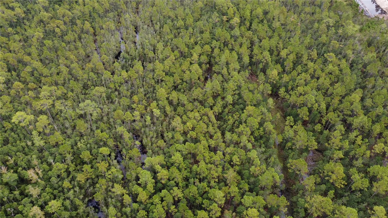 LUNGREN - Residential