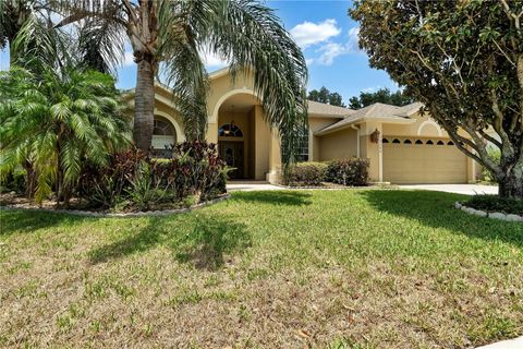 Single Family Residence in CLERMONT FL 13144 COLDWATER LOOP.jpg