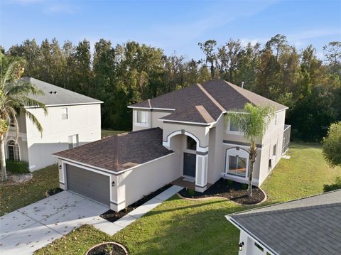 Photo of 25131 Geddy Drive, Land O Lakes, FL 34639 (MLS # TB8451217)