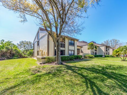 226 WOODLAKE WYNDE OLDSMAR FL 34677