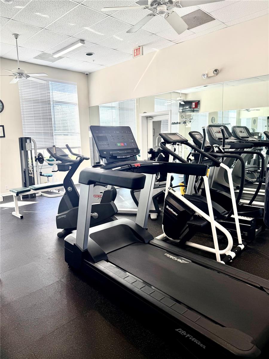 PINESTONE AT PALMER RANCH - Residential