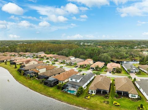 A home in TAMPA