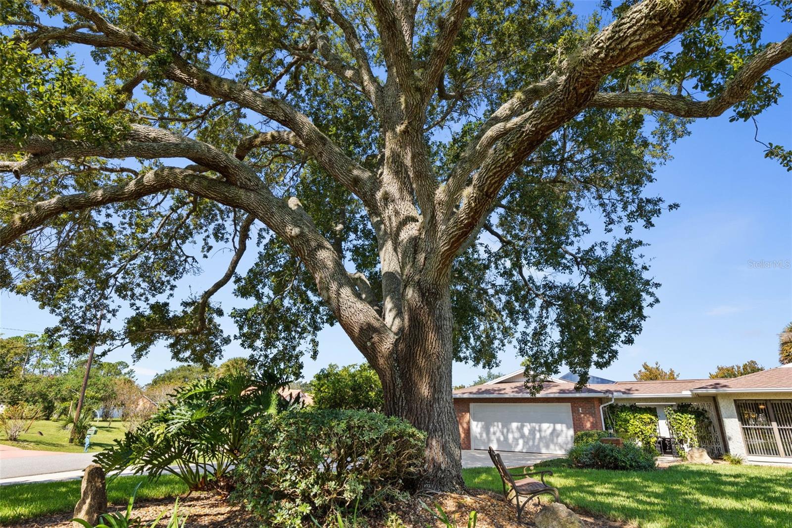 PALM HARBOR - Residential